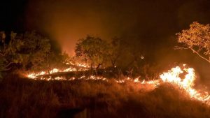 Mesmo com a redução do desmatamento na Amazônia em 2023, o bioma vem enfrentando outro desafio: os incêndios em áreas de vegetação nativa