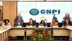 conselho-nacional-de-politica-indigenista
