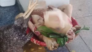 Ritual com animais mortos vira caso de polícia no interior de SP