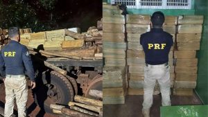 Polícia apreende 2 toneladas de maconha em meio a carga de eucalipto