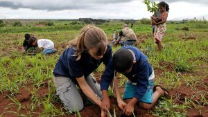 A lei modifica a Pnea, visando garantir que os projetos pedagógicos tenham atividades relacionadas à mudança climática e outras emergências.