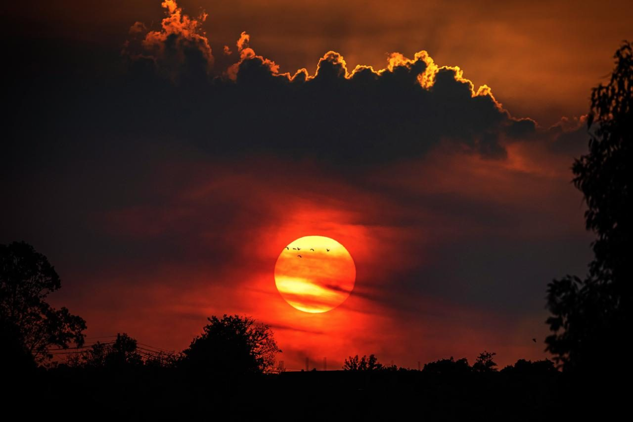 Previsão do tempo: Calor e secura extremos em Mato Grosso do Sul