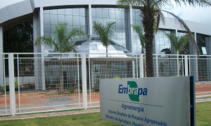 Concurso Embrapa 2024: Edital próximo e banca organizadora confirmada