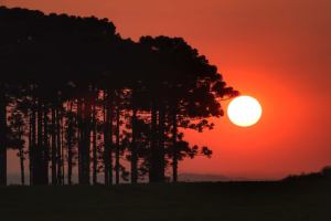 Onda de calor e Veranico: Entenda as diferenças e impactos no clima