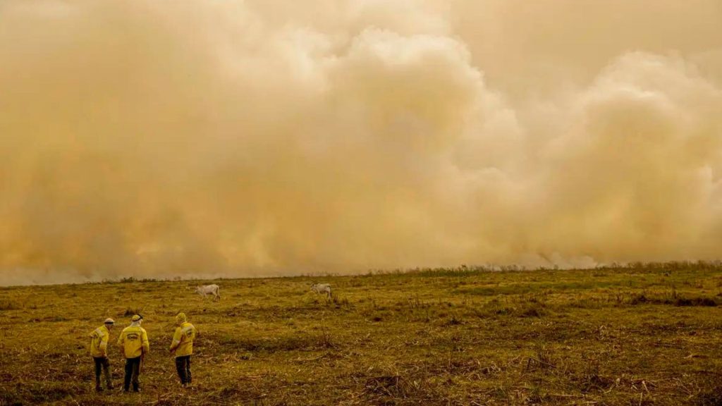 O sistema utiliza câmeras de alta tecnologia em pontos estratégicos para vigiar vastas áreas e detectar focos de incêndios rapidamente.