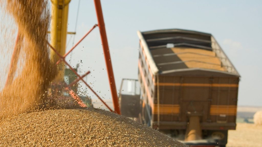 Safra de grãos deve chegar a 298,6 milhões de toneladas, informa Conab