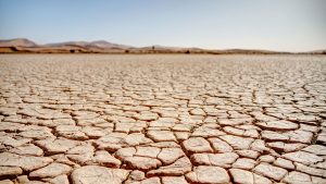 Brasil atinge a maior seca em 70 anos: Desafios e impactos críticos!