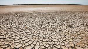 El Niño deixa o Brasil em alerta: Tempestades extremas e secas severas marcaram 2024