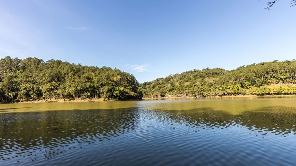 jaragua do sul Créditos depositphotos.com paulobaqueta