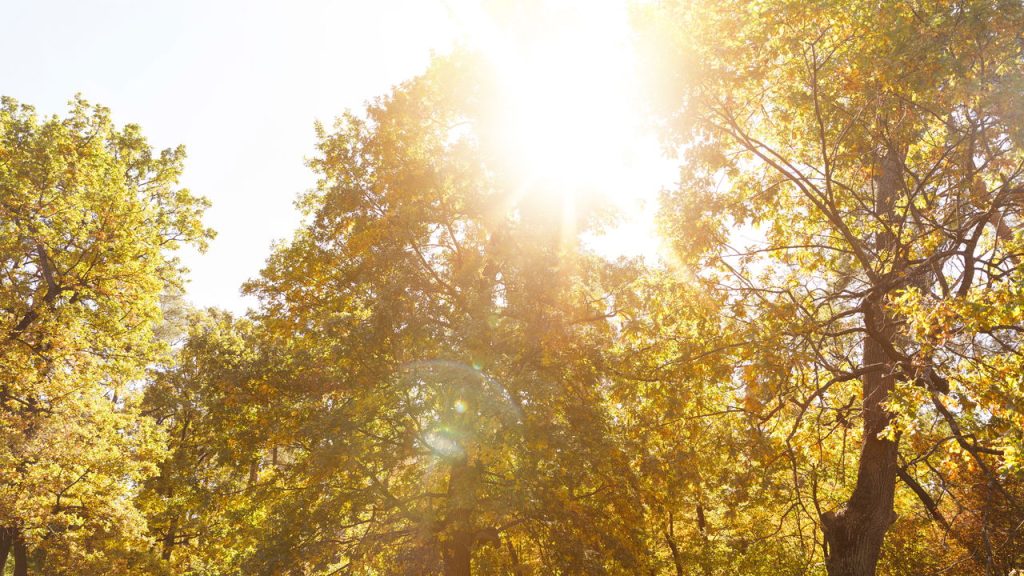 Alerta de calor: Saiba o que esperar das temperaturas nos próximos dias!