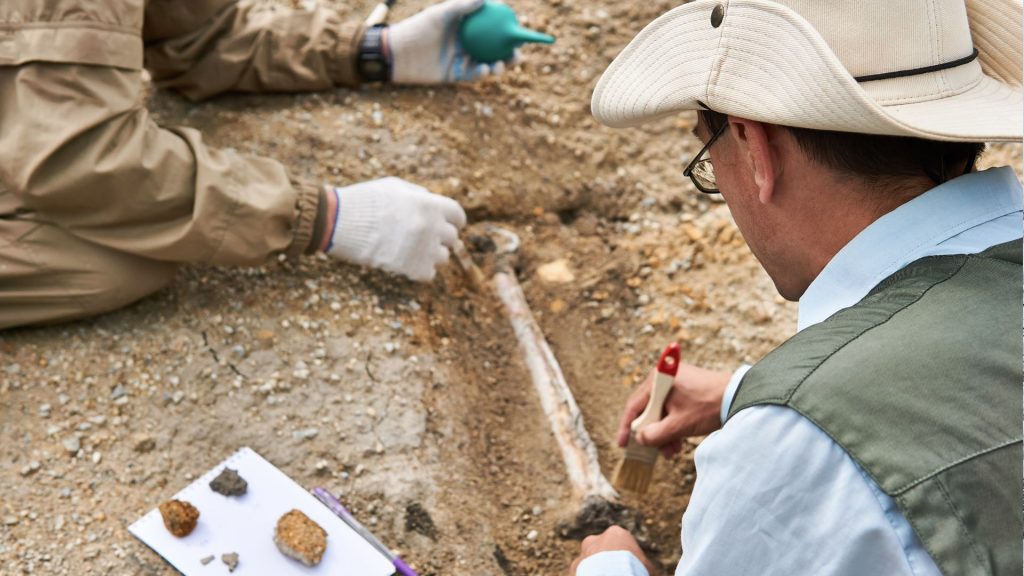 A história dos dinossauros é um vasto campo de estudo que levanta questões sobre como esses gigantes pré-históricos se tornaram dominantes