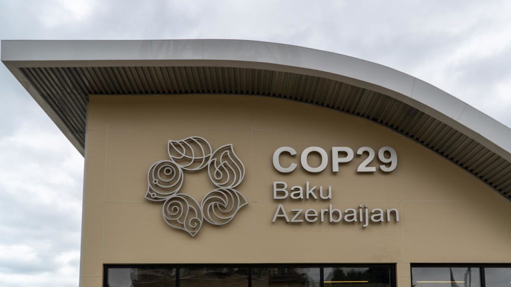 cop29-chefe-da-onu