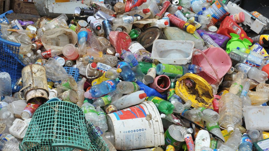 cientistas-descobrem-inseto-plastico