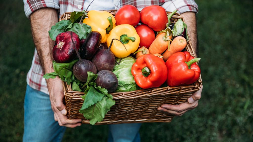 O que são alimentos funcionais e como incluí-los em nossa refeição diária?