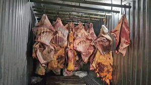 A Delegacia do Consumidor (Decon-RJ) desvendou um esquema de reaproveitamento ilegal de carne deteriorada, liderado pela empresa Tem Di Tudo