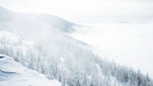 Tempestade de inverno no Kansas deixa neve de até 50 cm e desafia comunidades