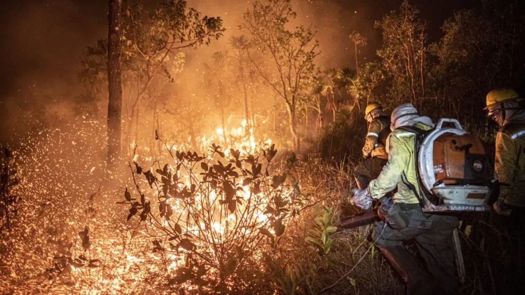 A decisão de Trump de suspender a ajuda externa do país interrompeu um programa que capacita brigadistas para atuar no combate a incêndios.