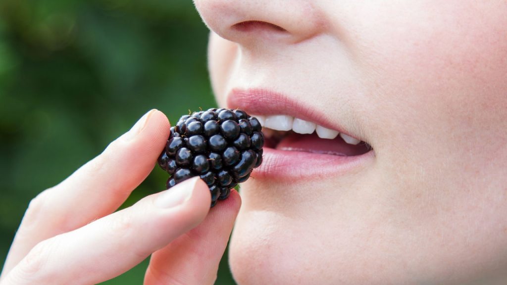 Amora miura pode ser o superalimento que faltava na sua vida e aqui está o motivo