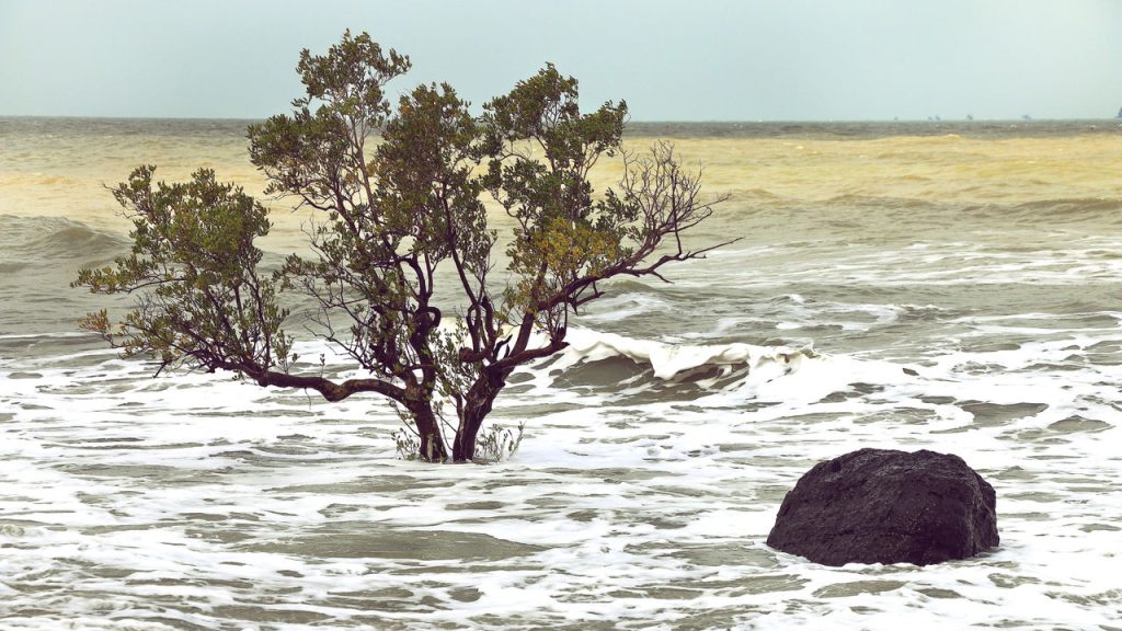 Aumento do nível do mar pode fazer algumas ilhas desaparecerem