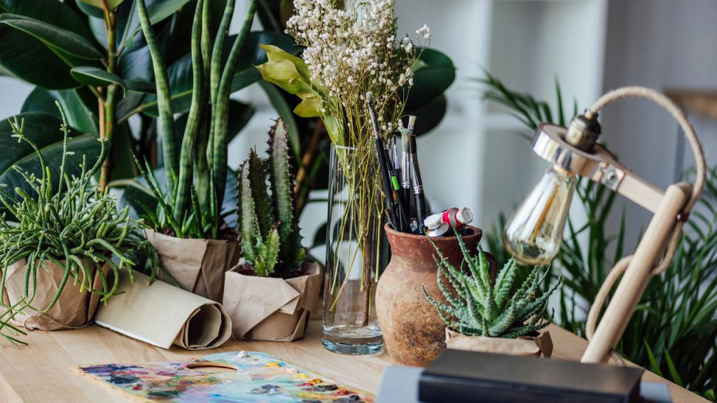 Essas plantas no quarto podem transformar seu sono e purificar o ar