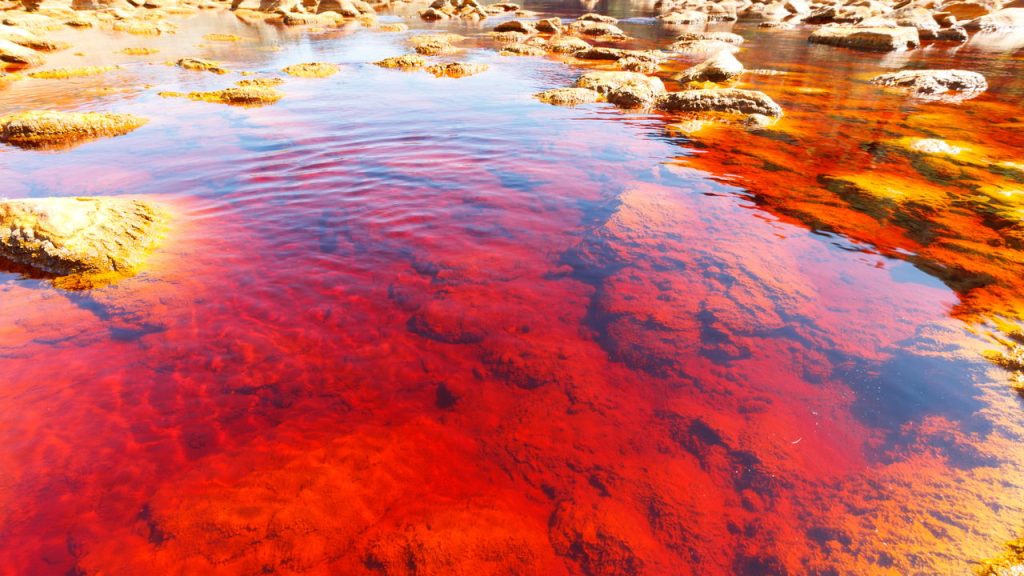 Cuidado com rios e lagos coloridos pois suas águas podem ser ácidas