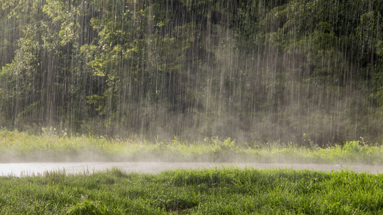 Previsão do tempo em Manaus é marcada por variações climáticas! Veja