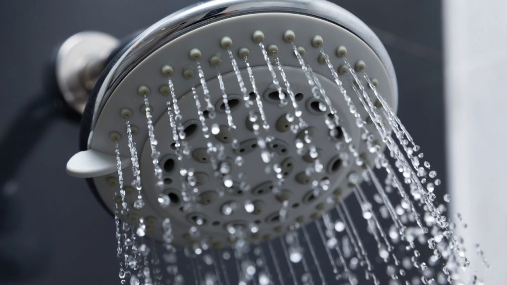 Substituto do chuveiro elétrico pode ser mais econômico gastando menos no mês 1 Chuveiro 1744206099508