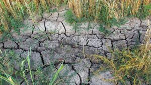 A série de eventos climáticos extremos que estão afetando o mundo
