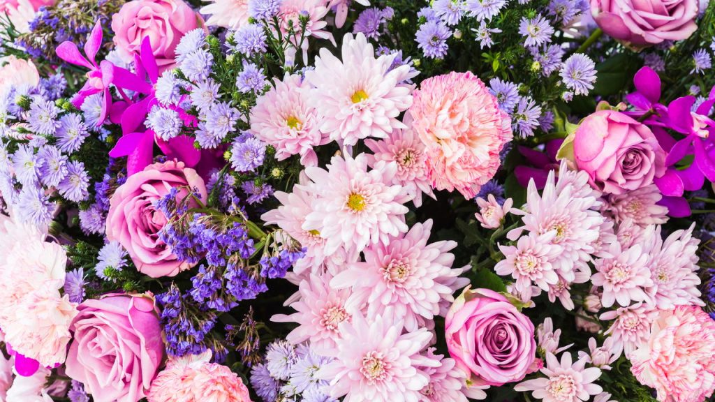 Melhores flores para plantar no outono e manter o jardim vibrante