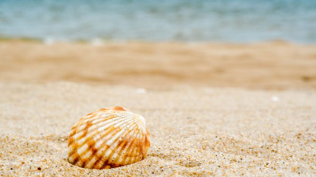 A praia da Bahia que parece intocada e está longe das multidões