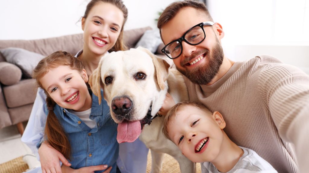 a conexão entre humanos e animais de estimação tem sido objeto de diversos estudos