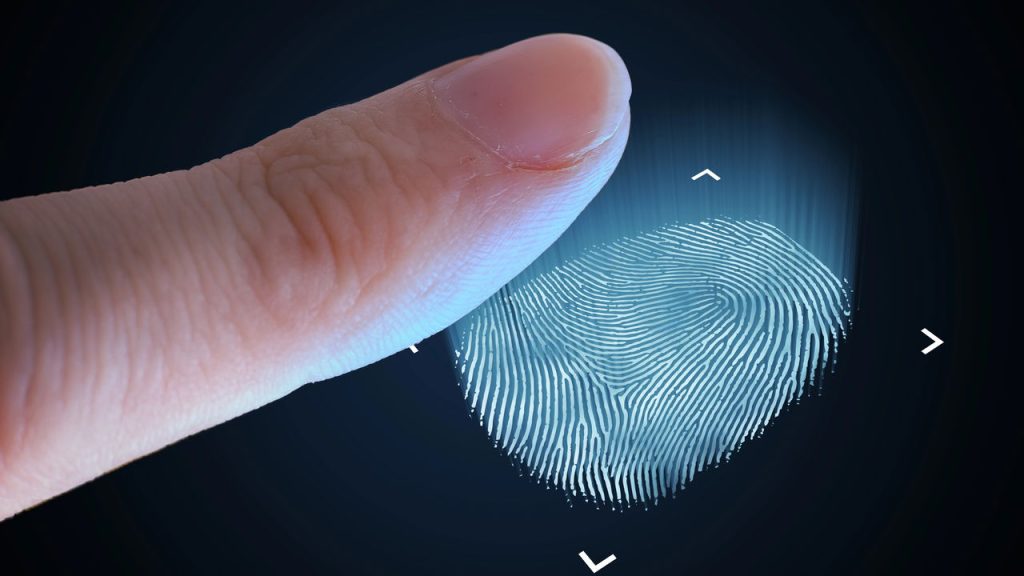 O que você precisa saber sobre a biometria digital?