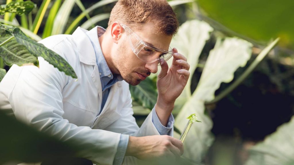 Nova profissão em alta une biologia e tecnologia e já paga salários de ...