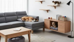 Sala pet friendly combina durabilidade conforto térmico e design moderno para toda a família