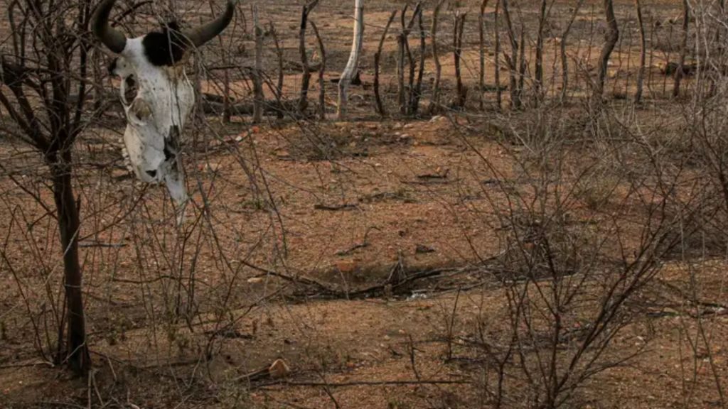 COP17 começa na Mongólia