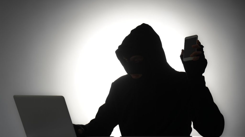Segurança Pública: Com reação analógica do Estado, golpe digital é crime que compensa no Brasil