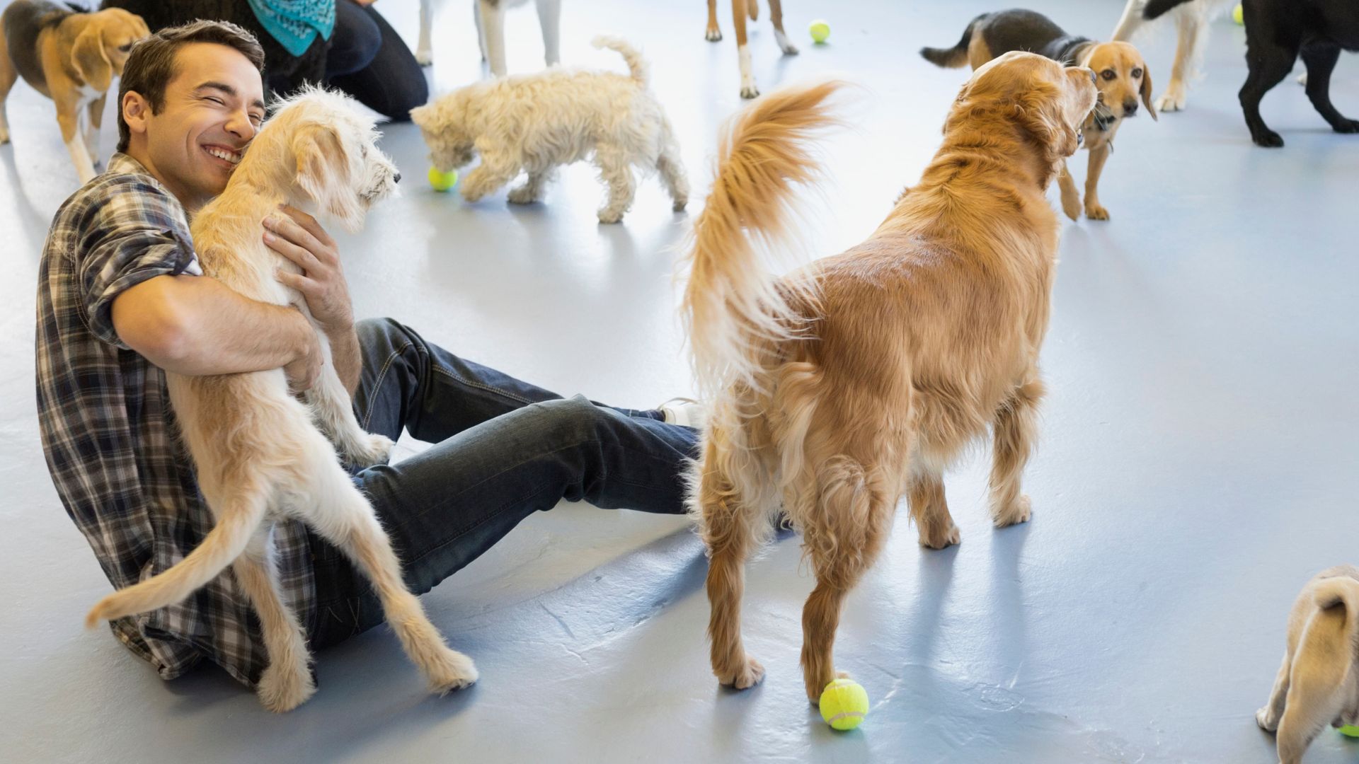 Síndrome de Noé: entenda o transtorno do acúmulo compulsivo de animais