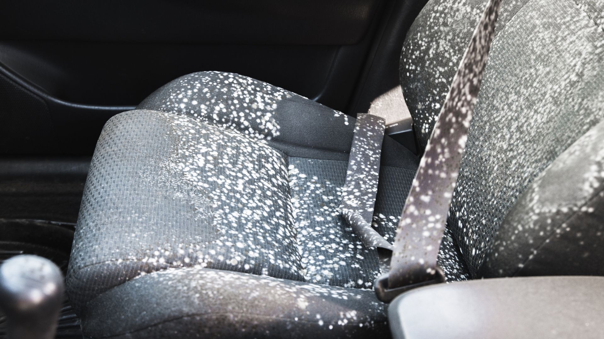 Mofo no carro: veja como prevenir o problema - Foto