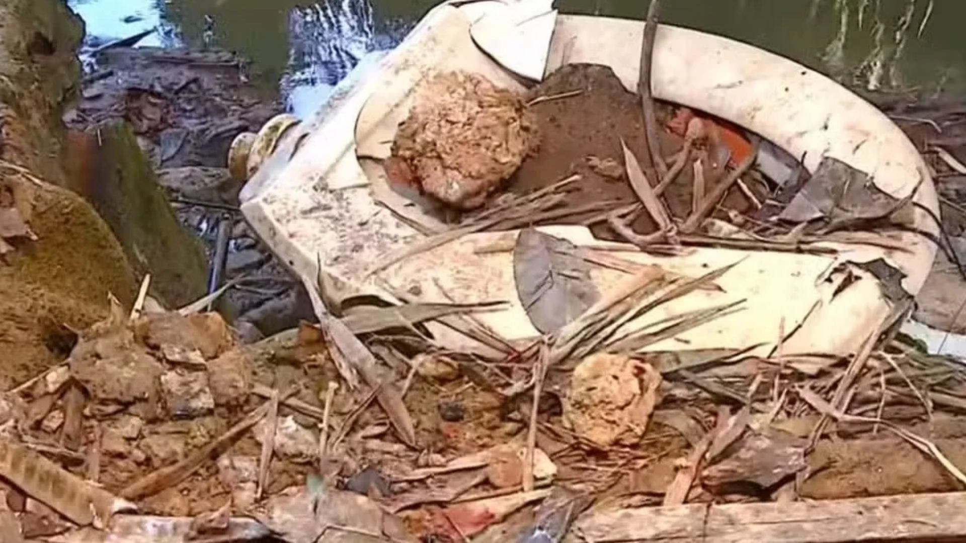 Bebê recém-nascido é achado no lixo e levado para UTI