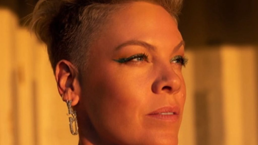 Pink reage após foto sem maquiagem viralizar e dispara: “Eu estou maravilhosa” - reprodução/ Instagram