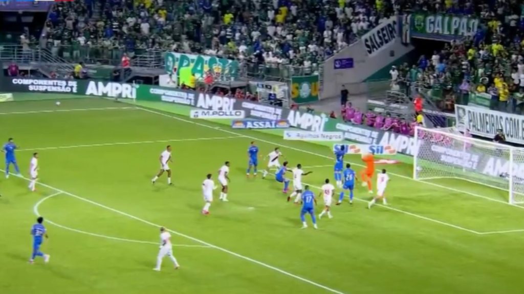 palmeiras
