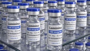 Após 9 mortes, Anvisa impõe restrições à polilaminina; entenda o que muda
