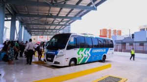 Transporte gratuito no segundo turno: veja as regras por estado para votar